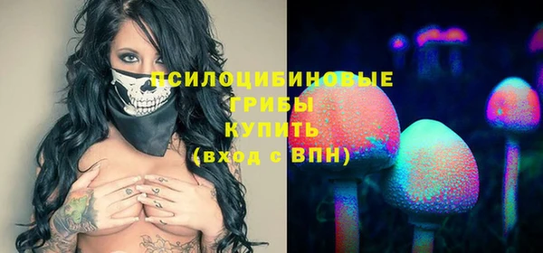 метамфетамин Гусев